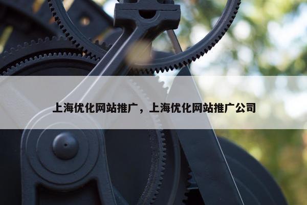 上海优化网站推广，上海优化网站推广公司