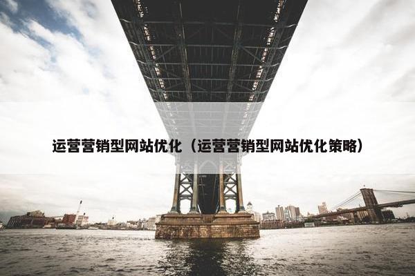运营营销型网站优化（运营营销型网站优化策略）