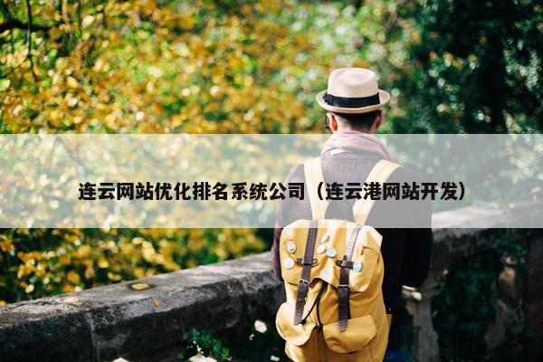 连云网站优化排名系统公司（连云港网站开发）