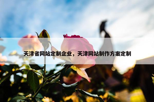 天津省网站定制企业，天津网站制作方案定制