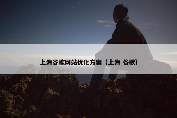 上海谷歌网站优化方案（上海 谷歌）