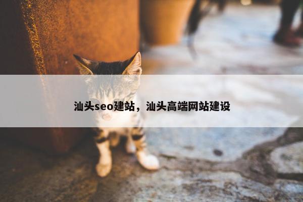 汕头seo建站，汕头高端网站建设