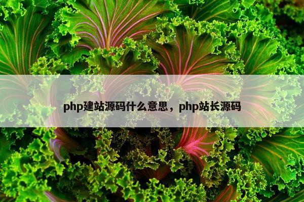 php建站源码什么意思，php站长源码