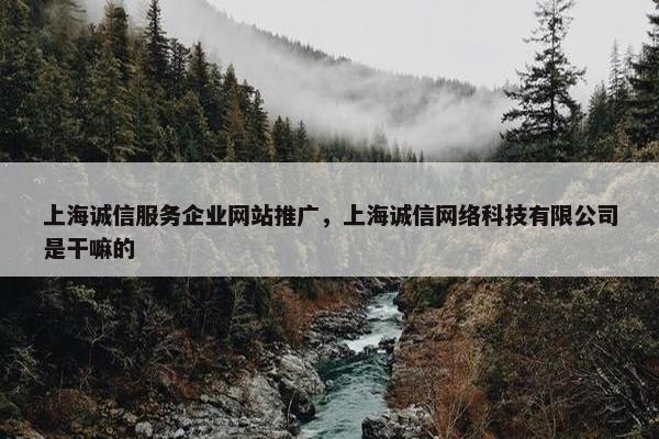 上海诚信服务企业网站推广，上海诚信网络科技有限公司是干嘛的