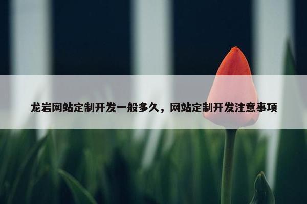 龙岩网站定制开发一般多久，网站定制开发注意事项