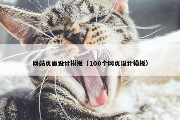 网站页面设计模板（100个网页设计模板）