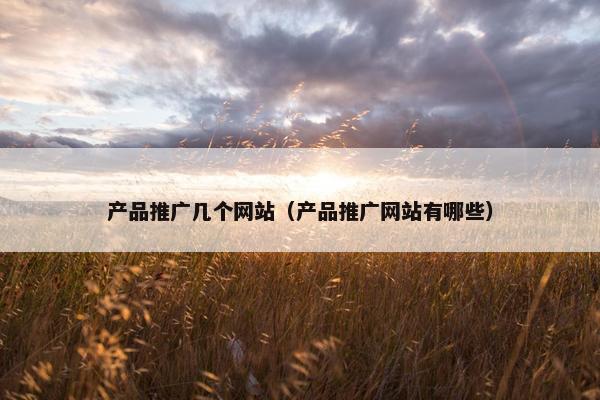 产品推广几个网站（产品推广网站有哪些）