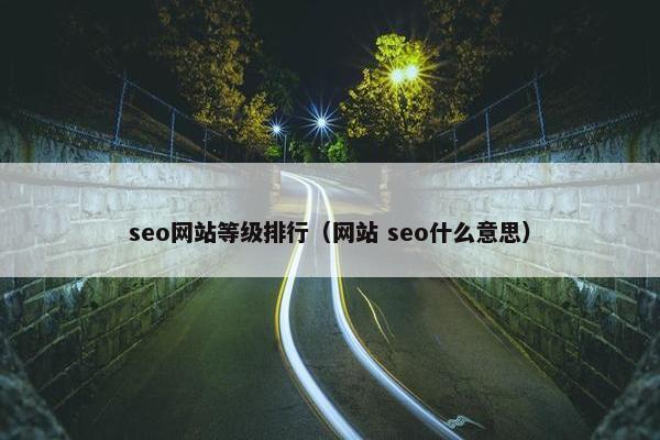 seo网站等级排行（网站 seo什么意思）