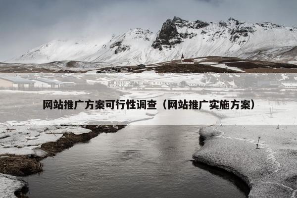 网站推广方案可行性调查（网站推广实施方案）