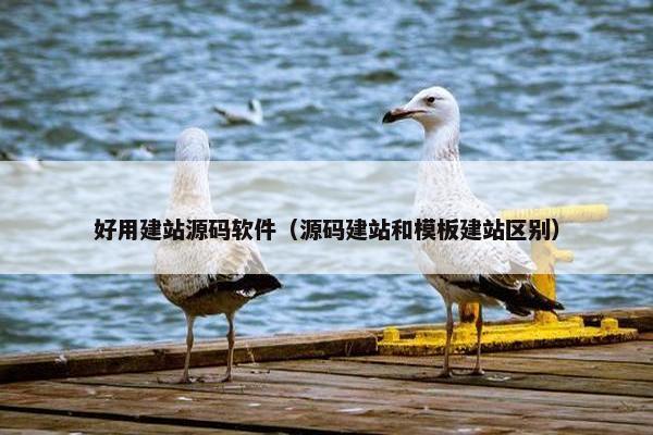 好用建站源码软件（源码建站和模板建站区别）