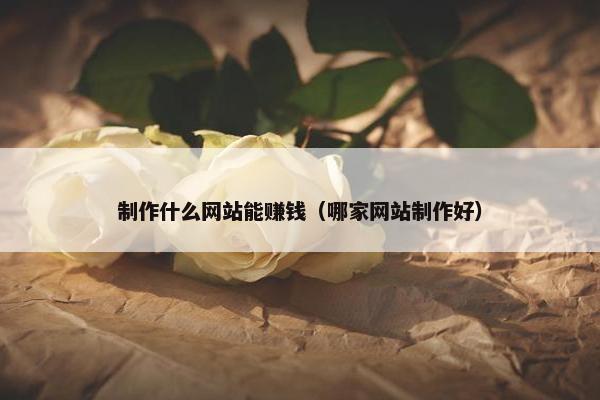 制作什么网站能赚钱（哪家网站制作好）