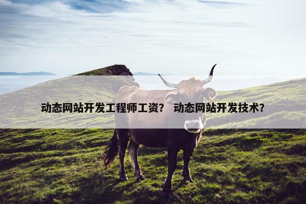 动态网站开发工程师工资？ 动态网站开发技术？