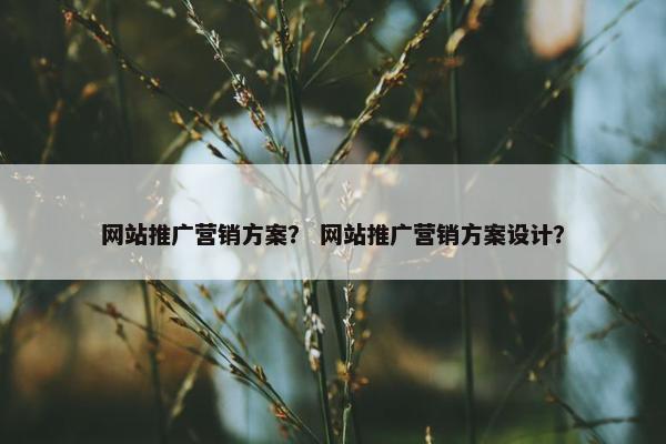 网站推广营销方案？ 网站推广营销方案设计？