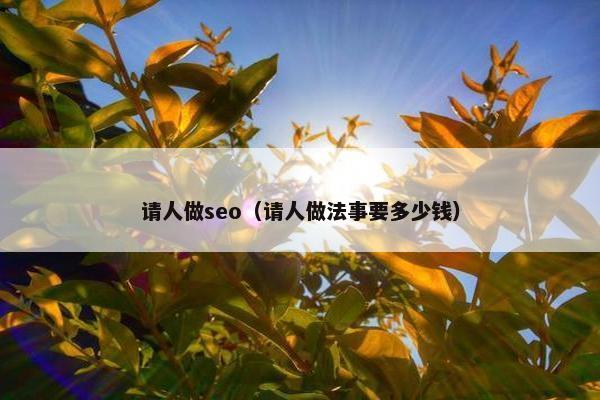 请人做seo（请人做法事要多少钱）