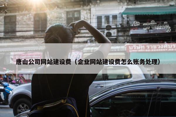 唐山公司网站建设费（企业网站建设费怎么账务处理）