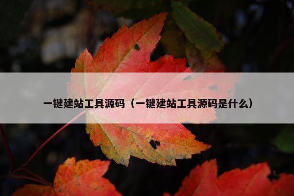 一键建站工具源码（一键建站工具源码是什么）