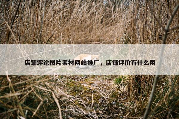店铺评论图片素材网站推广，店铺评价有什么用