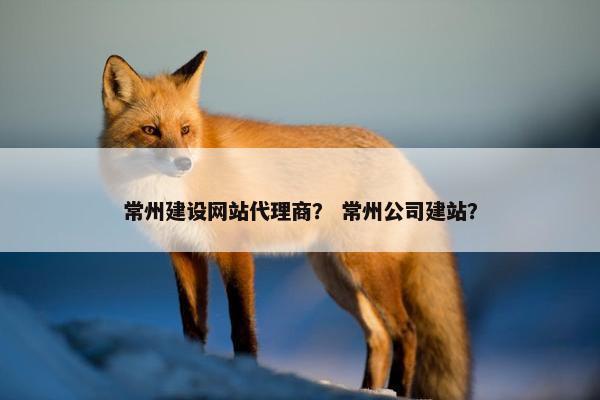 常州建设网站代理商？ 常州公司建站？