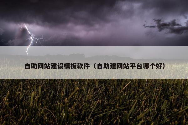 自助网站建设模板软件（自助建网站平台哪个好）