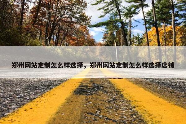 郑州网站定制怎么样选择，郑州网站定制怎么样选择店铺