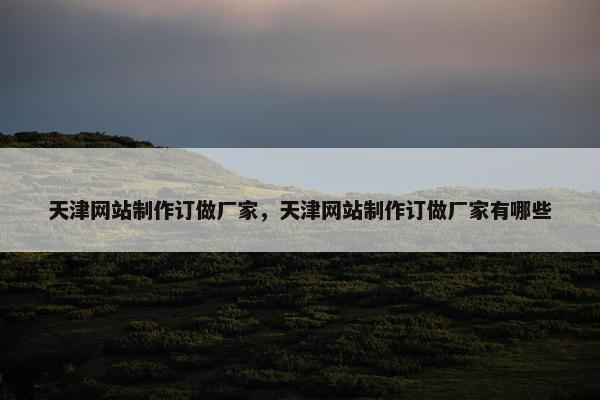 天津网站制作订做厂家，天津网站制作订做厂家有哪些