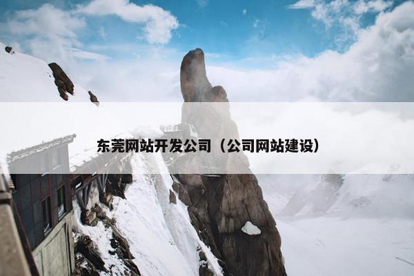 东莞网站开发公司（公司网站建设）