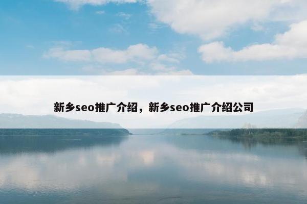 新乡seo推广介绍，新乡seo推广介绍公司