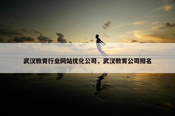 武汉教育行业网站优化公司，武汉教育公司排名