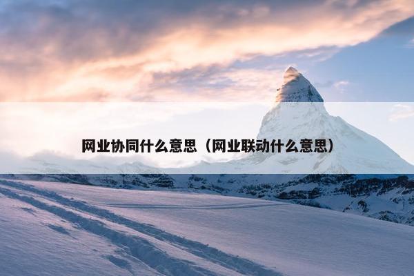 网业协同什么意思（网业联动什么意思）