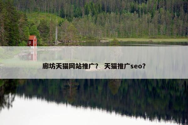 廊坊天猫网站推广？ 天猫推广seo？