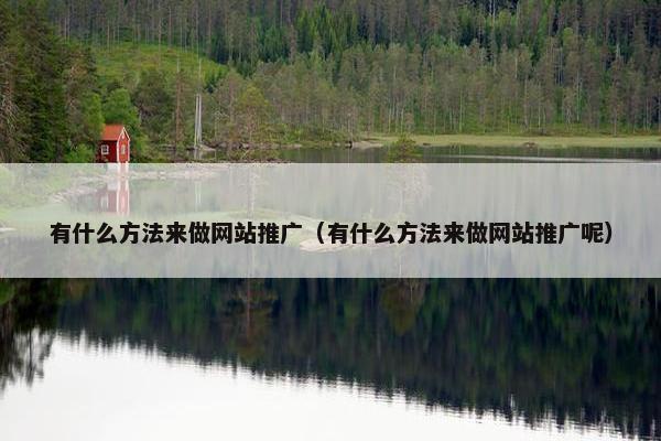 有什么方法来做网站推广（有什么方法来做网站推广呢）