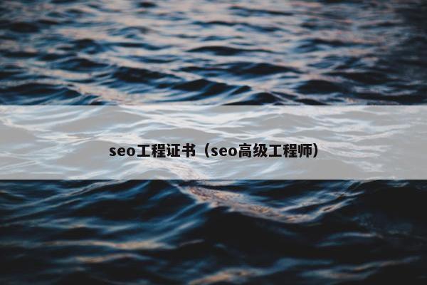 seo工程证书（seo高级工程师）