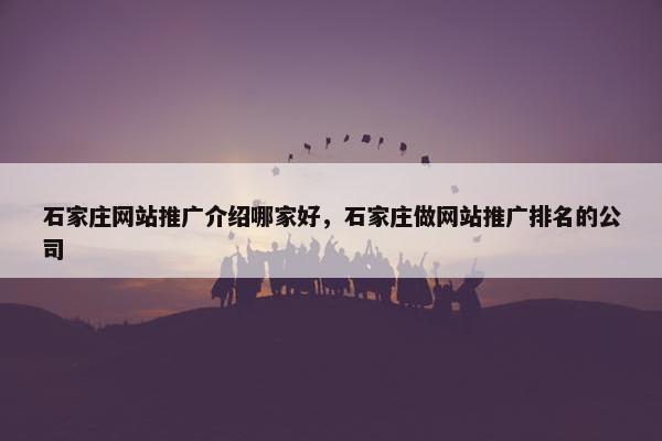 石家庄网站推广介绍哪家好，石家庄做网站推广排名的公司