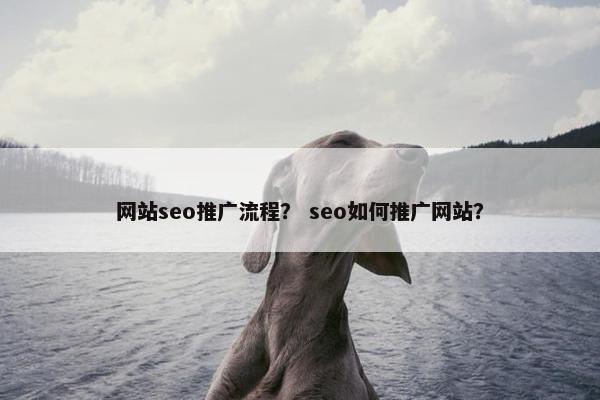 网站seo推广流程？ seo如何推广网站？