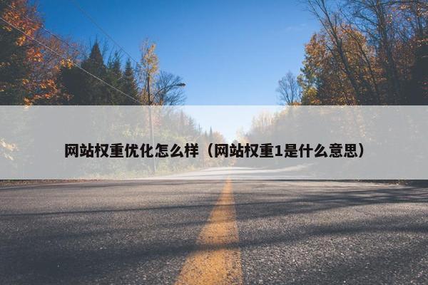 网站权重优化怎么样（网站权重1是什么意思）