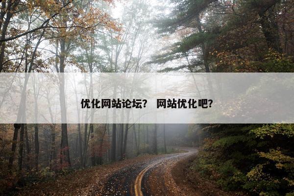 优化网站论坛？ 网站优化吧？