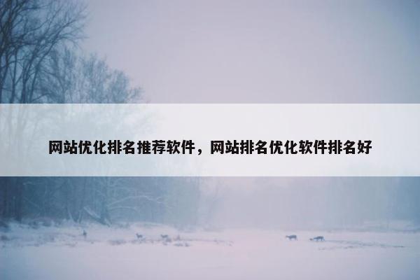网站优化排名推荐软件，网站排名优化软件排名好