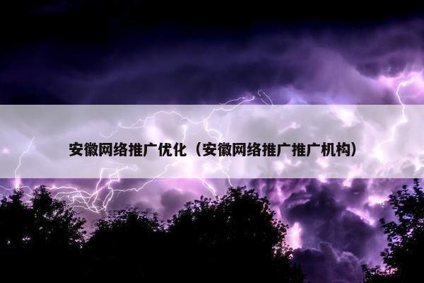 安徽网络推广优化（安徽网络推广推广机构）
