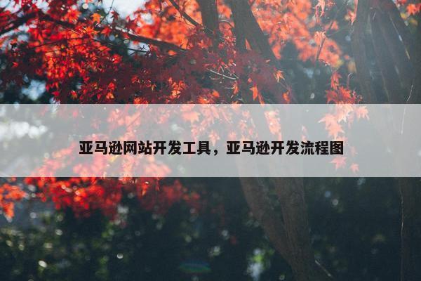 亚马逊网站开发工具，亚马逊开发流程图