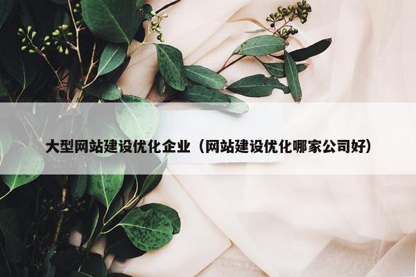 大型网站建设优化企业（网站建设优化哪家公司好）