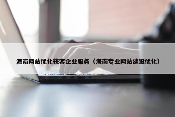 海南网站优化获客企业服务（海南专业网站建设优化）