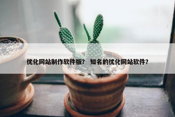 优化网站制作软件版？ 知名的优化网站软件？