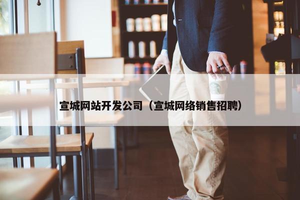 宣城网站开发公司（宣城网络销售招聘）