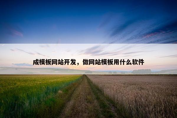 成模板网站开发，做网站模板用什么软件