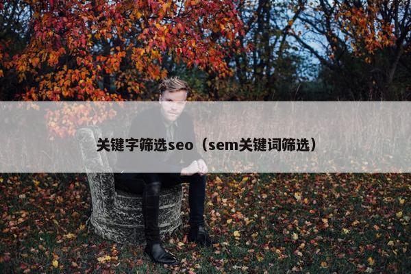 关键字筛选seo（sem关键词筛选）