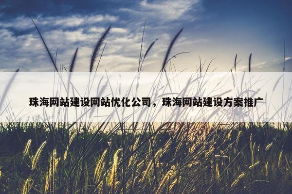 珠海网站建设网站优化公司，珠海网站建设方案推广