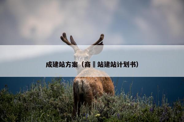 成建站方案（商硁站建站计划书）