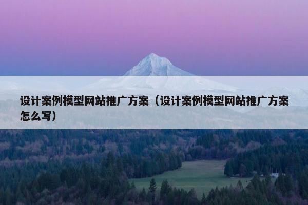 设计案例模型网站推广方案（设计案例模型网站推广方案怎么写）