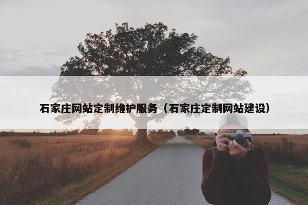 石家庄网站定制维护服务（石家庄定制网站建设）