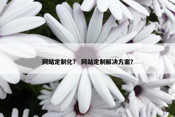 网站定制化？ 网站定制解决方案？